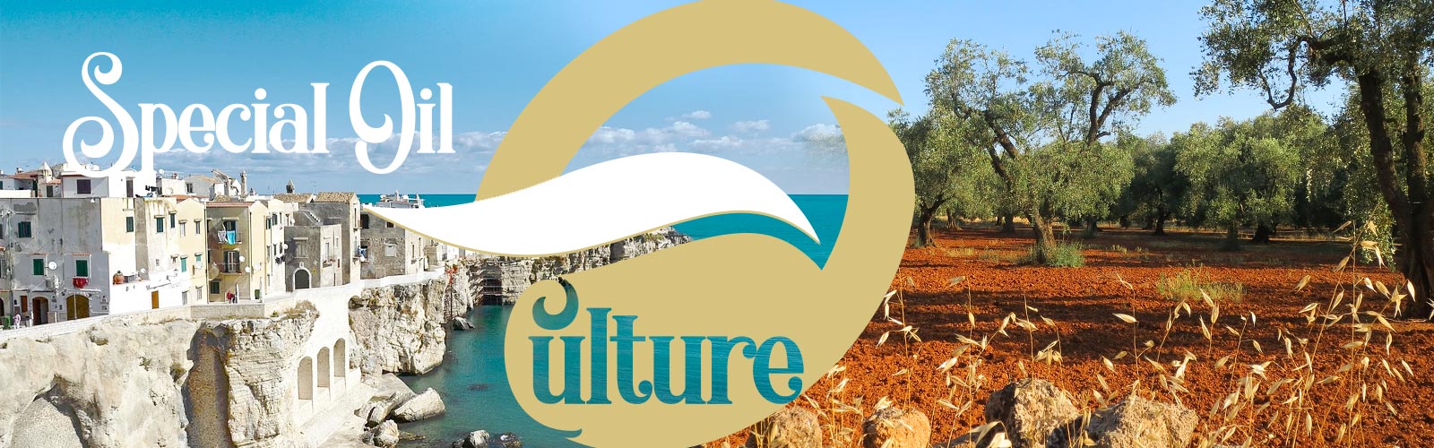Special Oil Culture by Olitema